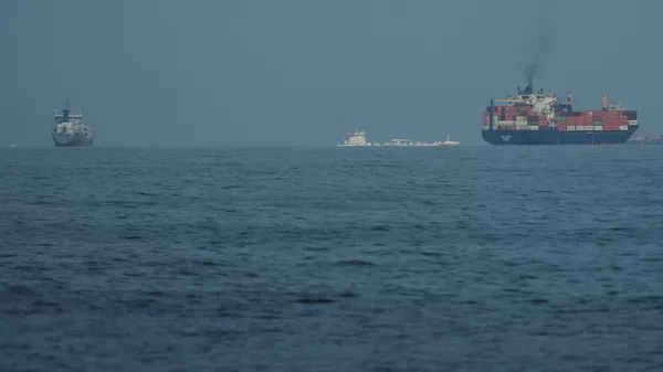 媒体：胡塞武装在曼德海峡附近袭击一艘商船 3人死亡 - 俄罗斯卫星通讯社