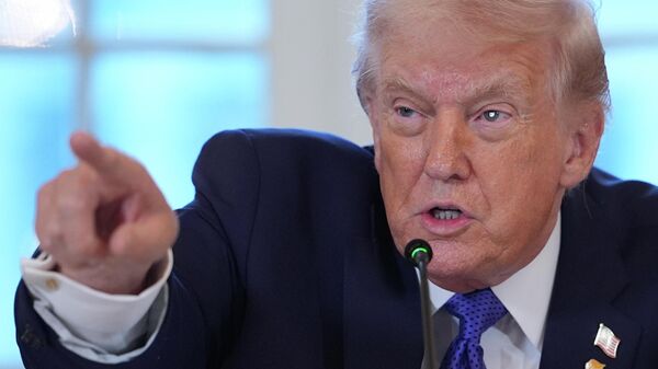 美国总统唐纳德·特朗普 - 俄罗斯卫星通讯社