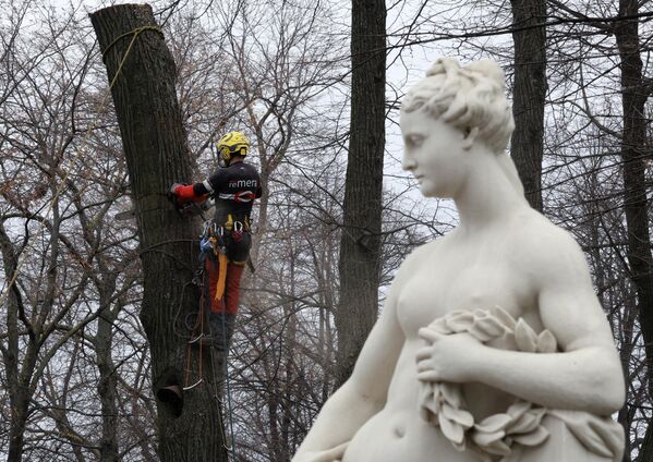 脱去“冬衣”的夏园雕塑 - 俄罗斯卫星通讯社