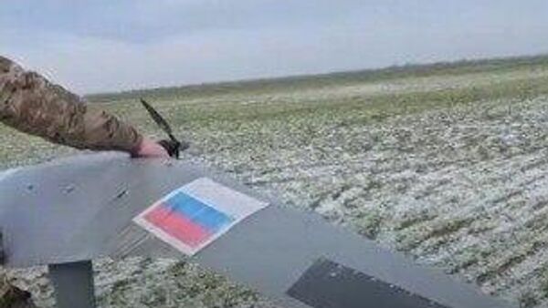  - 俄罗斯卫星通讯社