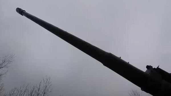  - 俄羅斯衛星通訊社