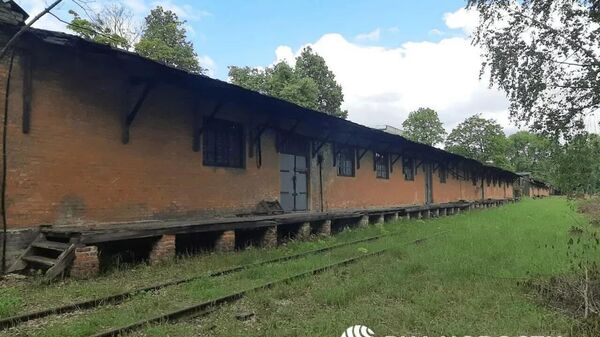 布良斯克的布痕瓦尔德 - 俄罗斯卫星通讯社