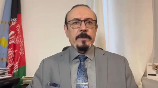 阿专家：北约对阿富汗奉行“分而治之” - 俄罗斯卫星通讯社