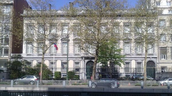 俄羅斯常駐歐盟代表處 - 俄羅斯衛星通訊社