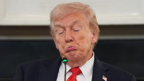 美国总统特朗普 - 俄罗斯卫星通讯社