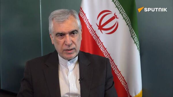 伊朗议员：国际社会应让俄中发挥领导作用，对抗特朗普非理性行为 - 俄罗斯卫星通讯社