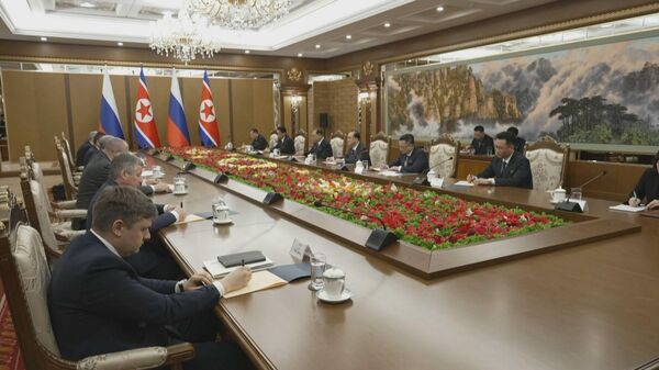 俄国家杜马主席提议扩大与朝鲜立法机构合作 - 俄罗斯卫星通讯社