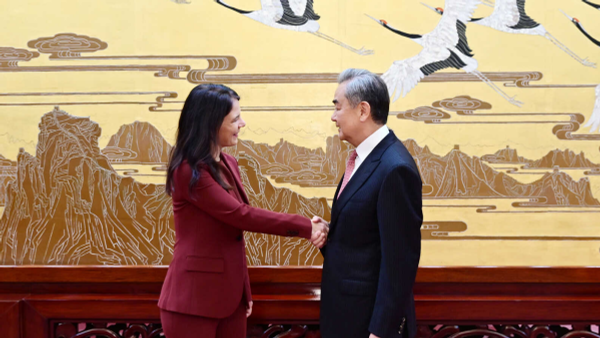 王毅会见第80届联合国大会主席贝尔伯克 - 俄罗斯卫星通讯社