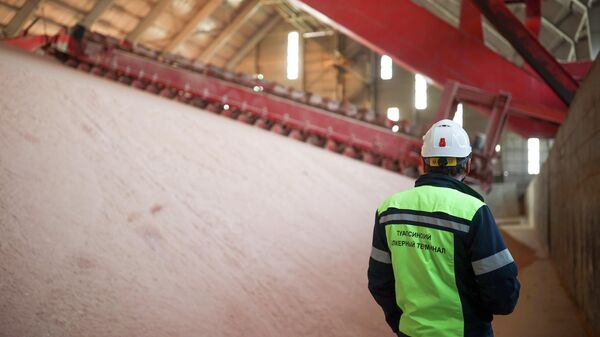 钾肥 - 俄罗斯卫星通讯社