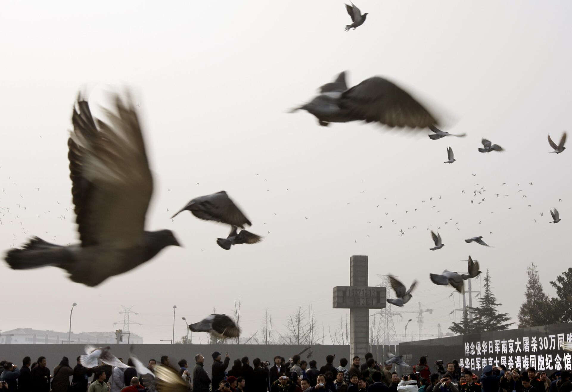 2007年12月13日，中国南京市，在南京大屠杀遇难同胞纪念馆举行的纪念仪式上，万只和平鸽腾空而起 - 俄罗斯卫星通讯社, 1920, 03.05.2026