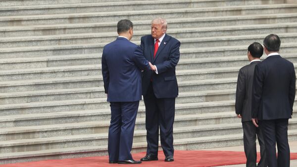 特朗普和习近平 - 俄罗斯卫星通讯社