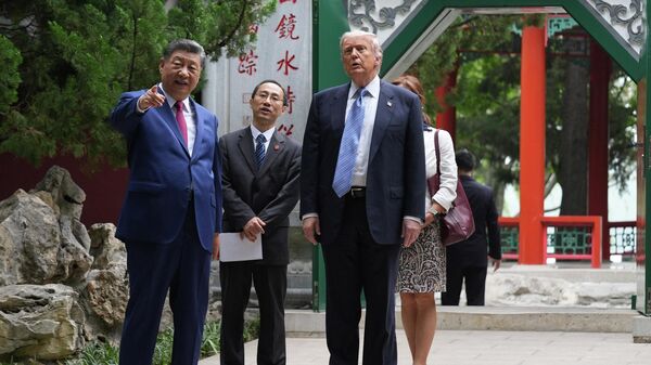 習近平在北京與特朗普散步時承諾贈送玫瑰種子 - 俄羅斯衛星通訊社