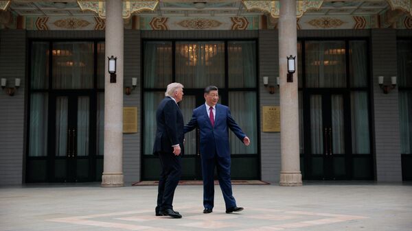 特朗普和习近平 - 俄罗斯卫星通讯社