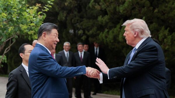 特朗普和习近平 - 俄罗斯卫星通讯社