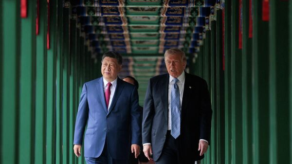 分析人士：特朗普访华表明“美国已不再是世界头号强国” - 俄羅斯衛星通訊社
