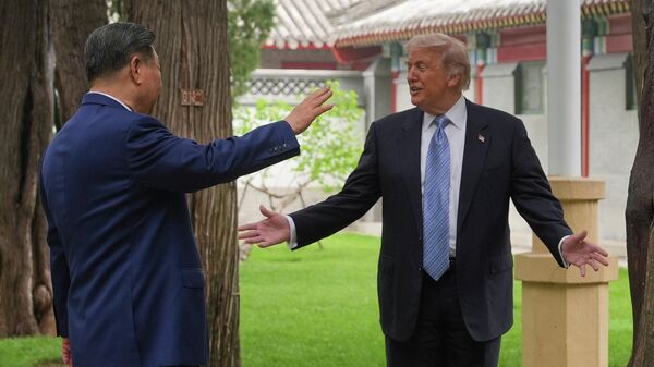 习近平不打算带企业高管参加与特朗普的会晤 - 俄罗斯卫星通讯社