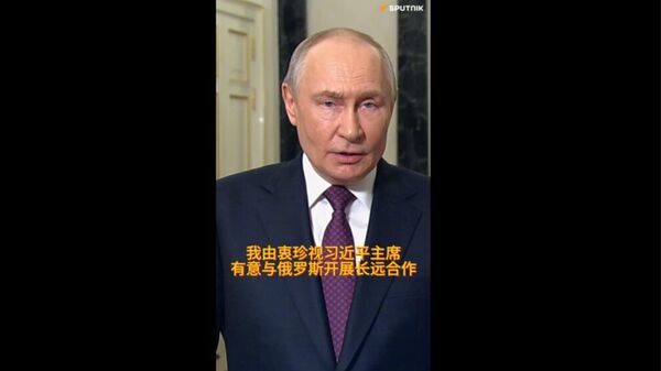 普京：俄中双边贸易额持续增长，早已突破2000亿美元大关 - 俄罗斯卫星通讯社