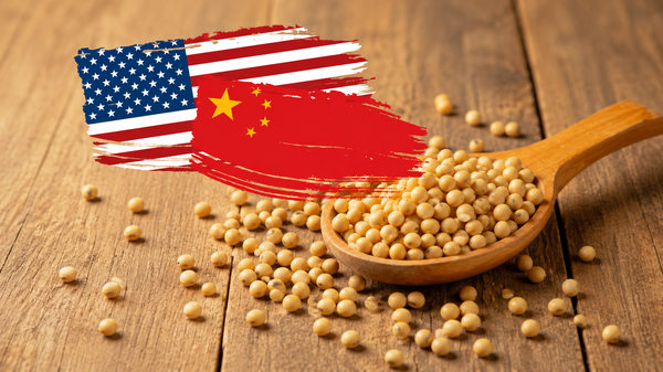 美国对华贸易政策如何影响其盟友？ - 俄罗斯卫星通讯社