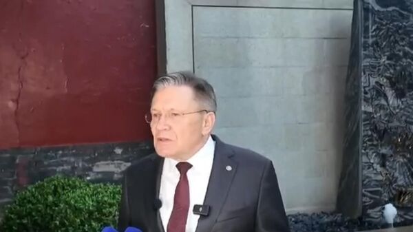 俄原子能集团总经理：中国对在北方海路方面合作的兴趣日益浓厚 - 俄罗斯卫星通讯社