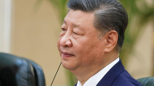 习近平称中国有意扩大对埃及投资 - 俄罗斯卫星通讯社