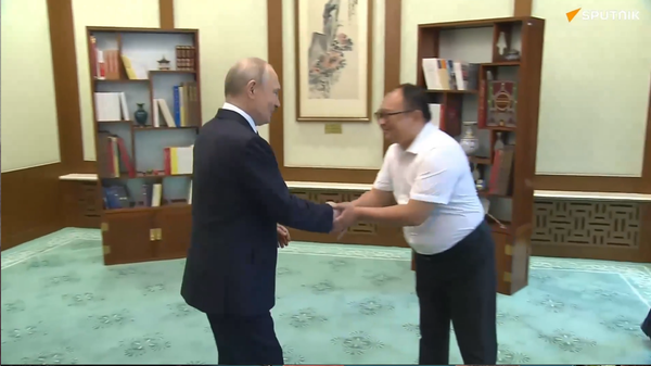 普京和彭湃26年后再相逢 - 俄罗斯卫星通讯社