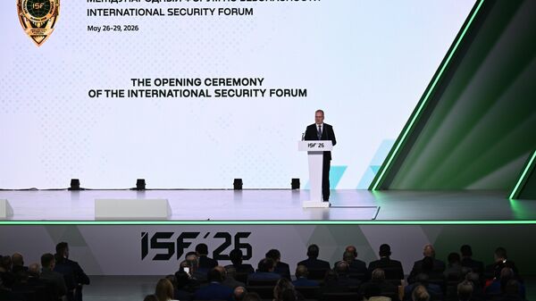 伊朗最高国家安全委员会副秘书抵达莫斯科出席国际安全论坛 - 俄罗斯卫星通讯社