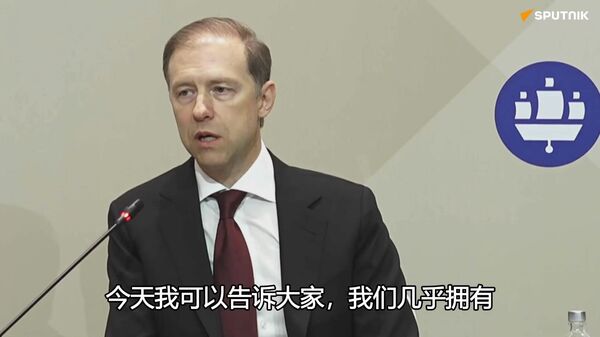 俄副总理：俄罗斯将在2028年获得全系稀土金属 - 俄罗斯卫星通讯社