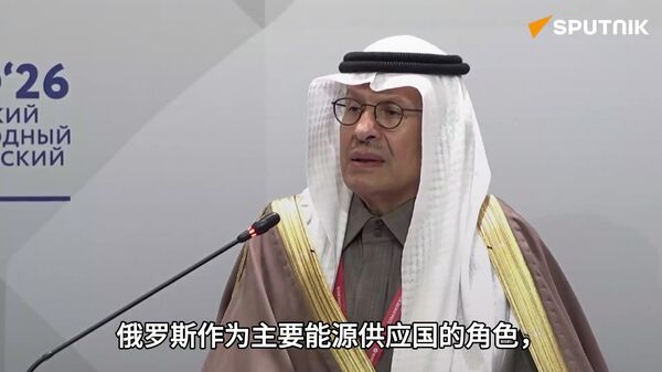 沙特阿拉伯能源部长：俄罗斯作为主要能源供应国的角色不可替代 - 俄罗斯卫星通讯社