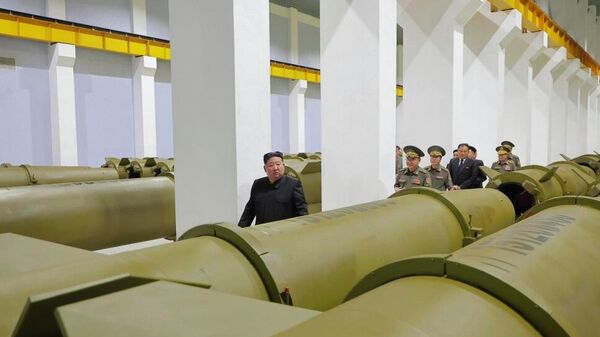 金正恩视察军工企业指示导弹产量提升至2.5倍 - 俄罗斯卫星通讯社