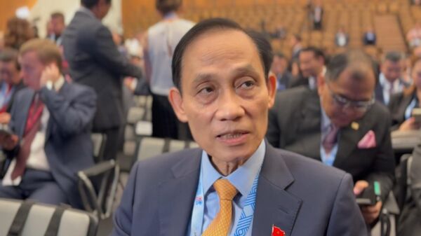 越南外长：愿为东盟—俄罗斯关系作出积极贡献 - 俄罗斯卫星通讯社