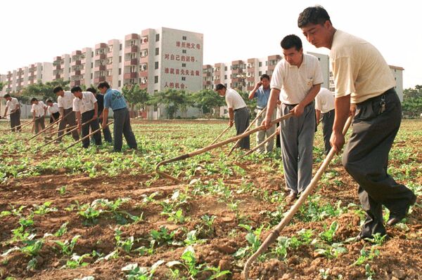 1999年8月30日，河南南街村，饭店员工参加义务劳动。建国50周年前夕，南街村集体经济模式表明，共产主义理想并未消亡。 - 俄罗斯卫星通讯社