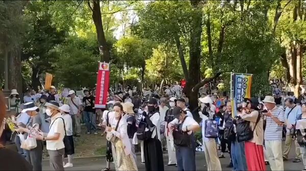 日本反政府集会呼吁政府下台，主办方称参与者达2.5万人 - 俄罗斯卫星通讯社