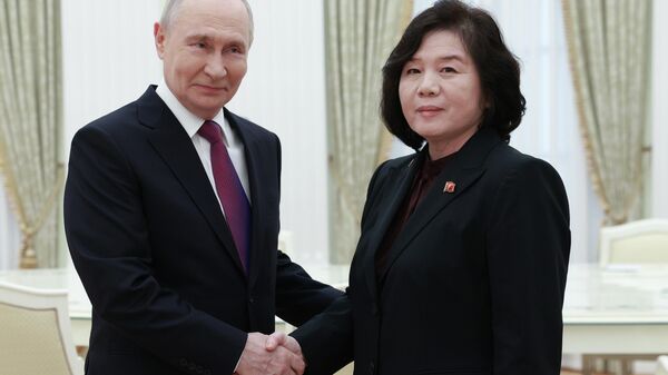 朝鮮外務相：與普京會晤確認發展兩國關係的共同意願 - 俄羅斯衛星通訊社