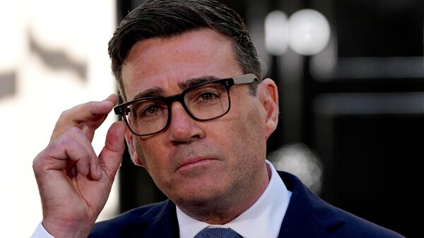 英国新任首相安迪·伯纳姆 - 俄罗斯卫星通讯社