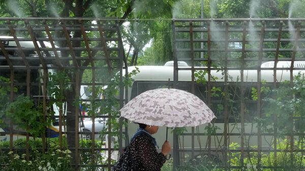 韩媒：韩国极端高温已致8人死亡 - 俄罗斯卫星通讯社