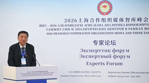 新华社研究院院长刘刚 - 俄罗斯卫星通讯社
