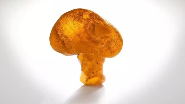 具有约4000万年历史的古代琥珀 - 俄罗斯卫星通讯社