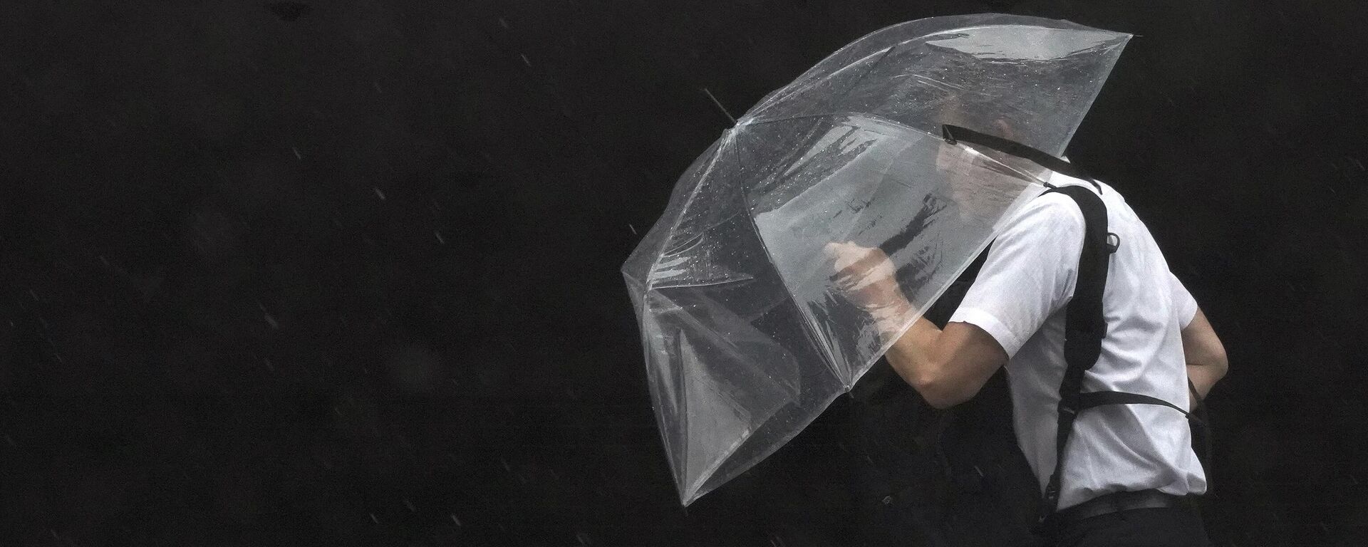 媒体：日本政府因暴雨缘故安排疏散17万人 - 俄罗斯卫星通讯社, 1920, 13.08.2026