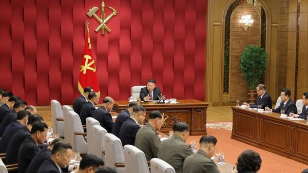 金正恩主持召开政治局扩大会议，评估2026年各项任务落实情况 - 俄罗斯卫星通讯社