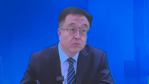 现代院学术委员会副秘书长丁晓星 - 俄罗斯卫星通讯社