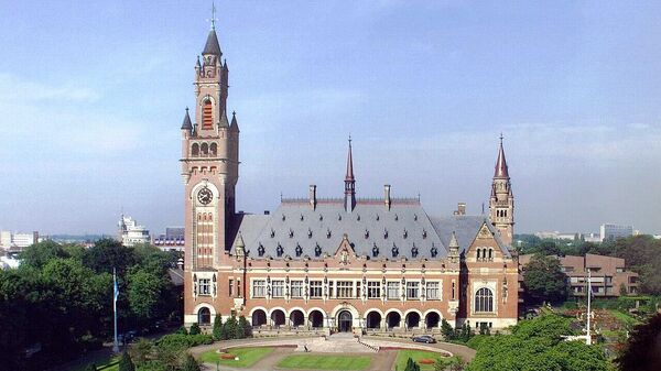 常设仲裁法院（位于荷兰海牙的国际仲裁机构） - 俄罗斯卫星通讯社