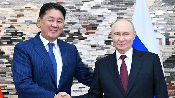 俄罗斯总统普京与蒙古国总统呼日勒苏赫 - 俄罗斯卫星通讯社