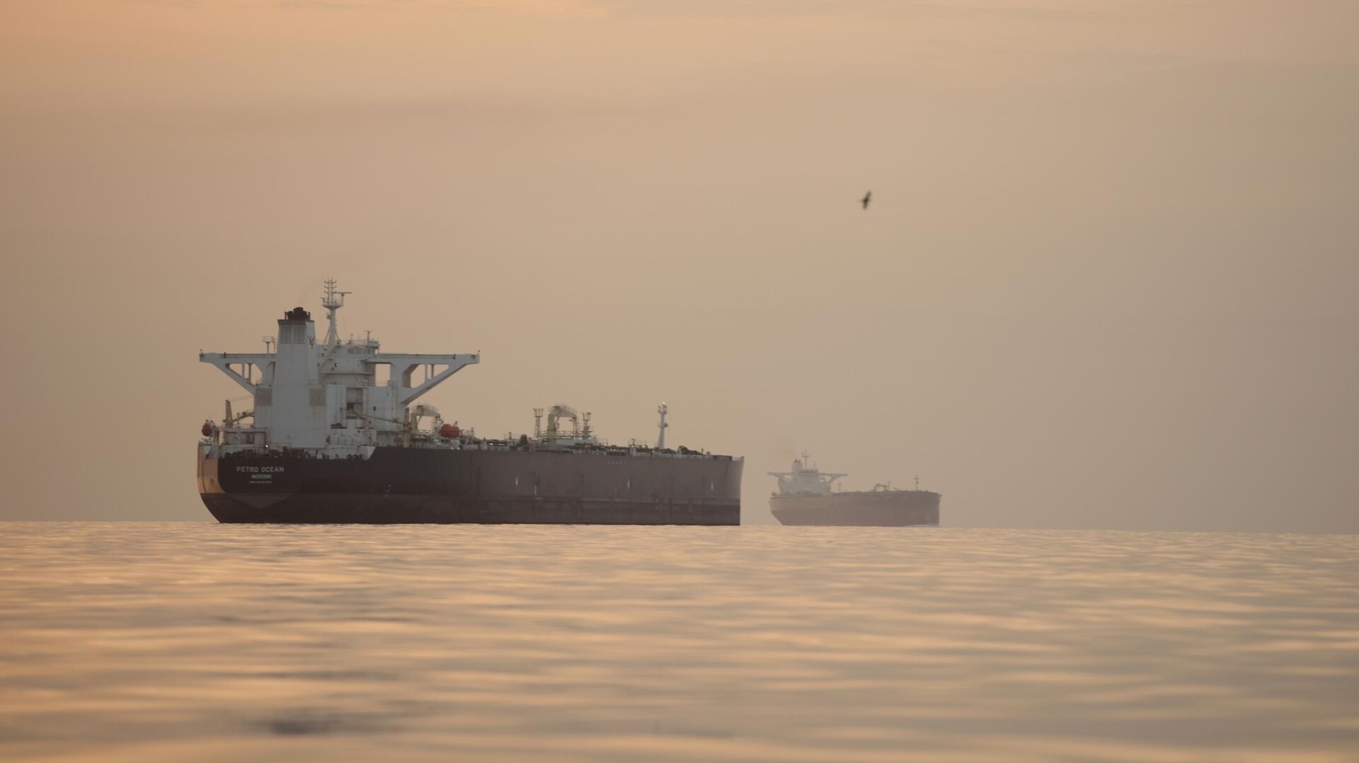 专家：霍尔木兹海峡正常化并非OPEC+增产的唯一条件 - 俄罗斯卫星通讯社, 1920, 09.09.2026