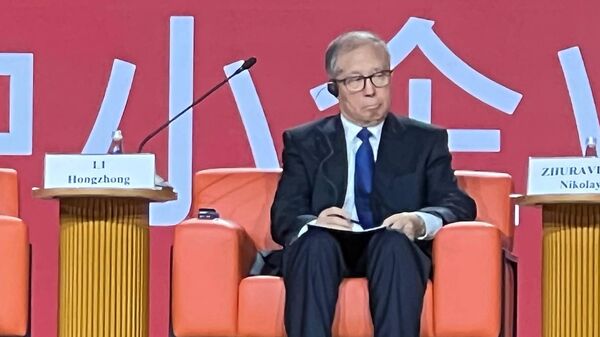 中共中央政治局委员: 中国相信中俄中小企业合作定能成功 - 俄罗斯卫星通讯社