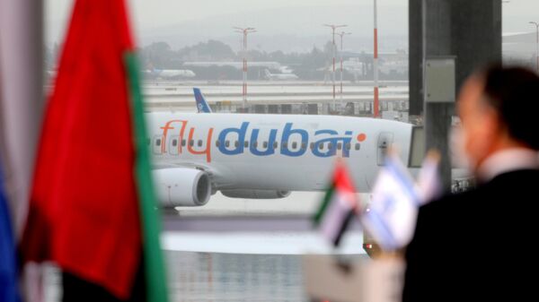 媒体：Flydubai袭击案嫌疑人承认欲在以色列坠机 - 俄罗斯卫星通讯社