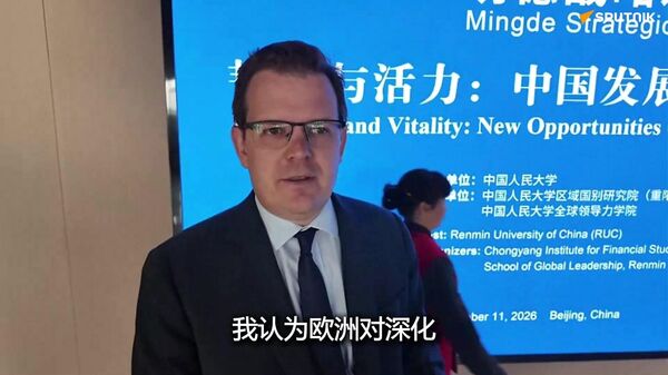 格伦·迪森：欧盟找不到自身在多极世界中的定位，正陷入恐慌 - 俄罗斯卫星通讯社