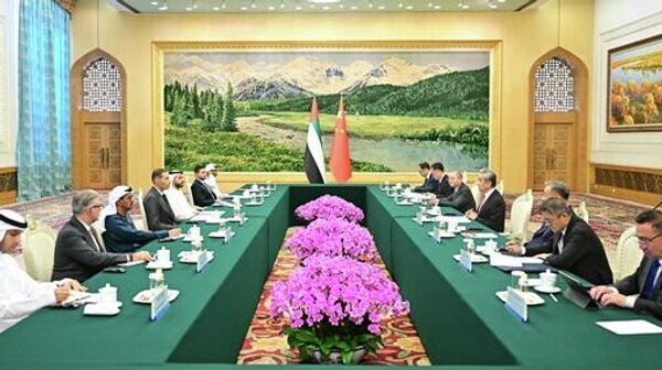王毅会见阿联酋总统中国事务特使哈勒敦 - 俄罗斯卫星通讯社