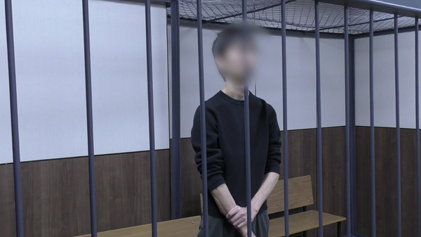 日本《北海道新闻》报一名记者因涉嫌从事间谍活动在萨哈林州被抓获 - 俄罗斯卫星通讯社