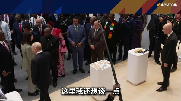 俄罗斯公司在国际数字支付领域实现跨越式突破 - 俄罗斯卫星通讯社