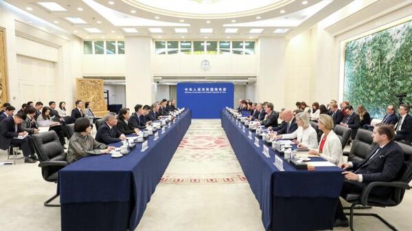 王文涛会见欧洲议会国际贸易委员会主席朗格 - 俄罗斯卫星通讯社
